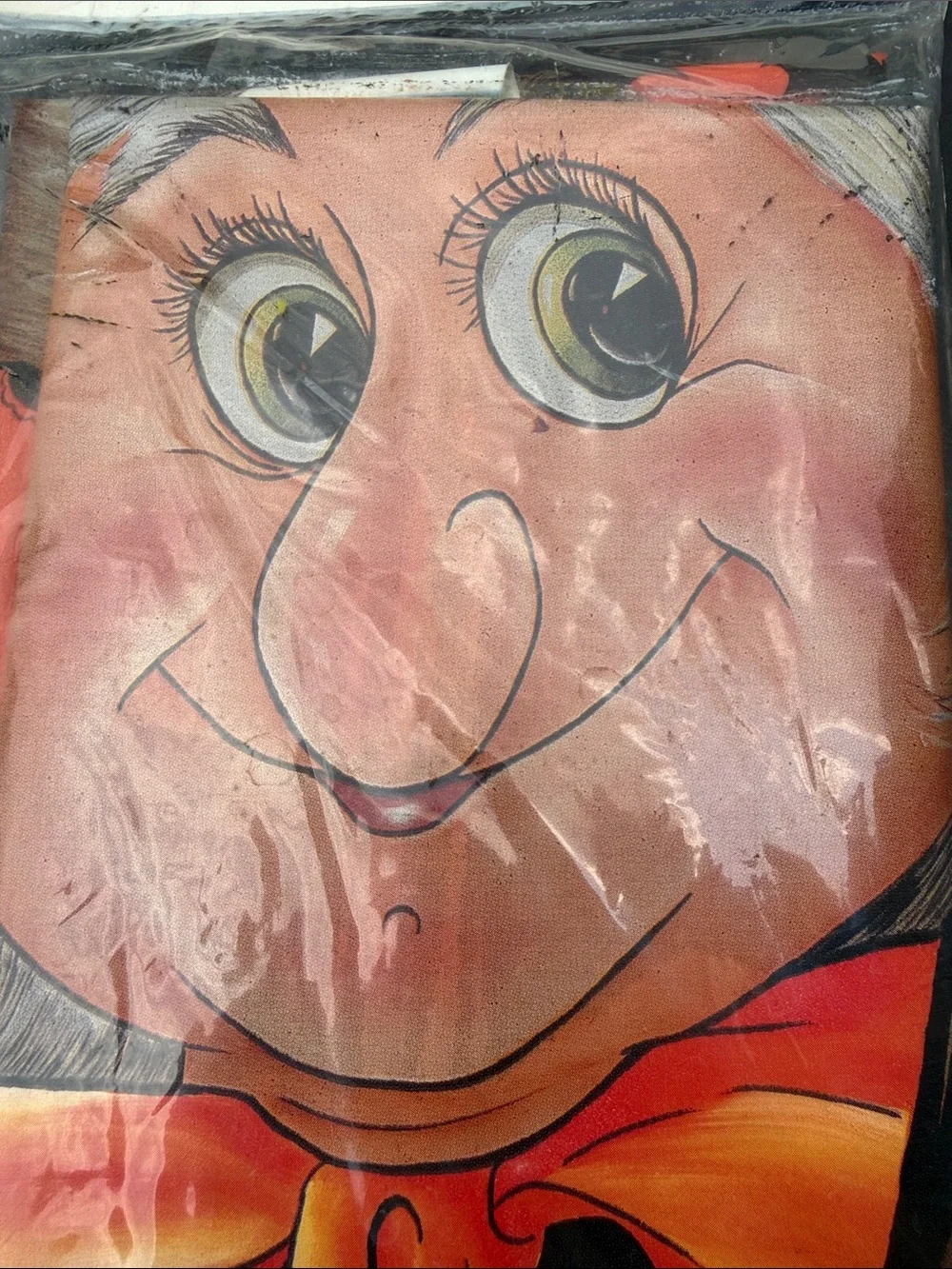 Vintage 1970s  Wilma Witch Halloween Lawn Decoration & Plant Plastic Cover